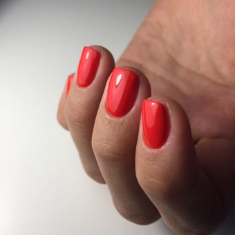 ����-��� Lovely �033, 12��