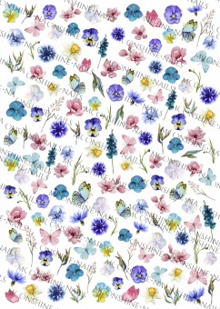 �������-������ Moonshine Flowers