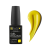 ����-��� LiNTO #ILLUMINATING, 10��