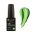 ����-��� LiNTO GREENERY 2017�, 10��