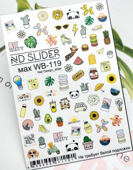 C������ ������ MAX WB-119