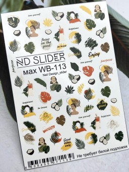 C������ ������ MAX WB-113