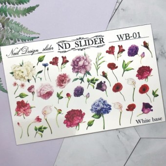 C������ ������ WB-01