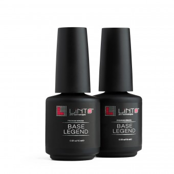 ���� LiNTO, LEGEND 15��
