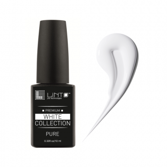 ����-��� LiNTO PURE 10��