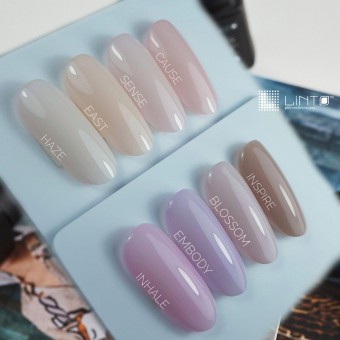 ����-��� LiNTO CAUSE, 10��